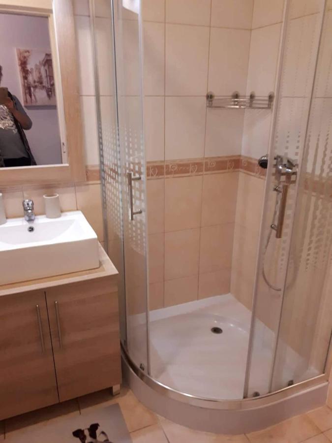 Zöld Béka Kölcsey I. Apartman Hajdúszoboszló Exterior foto
